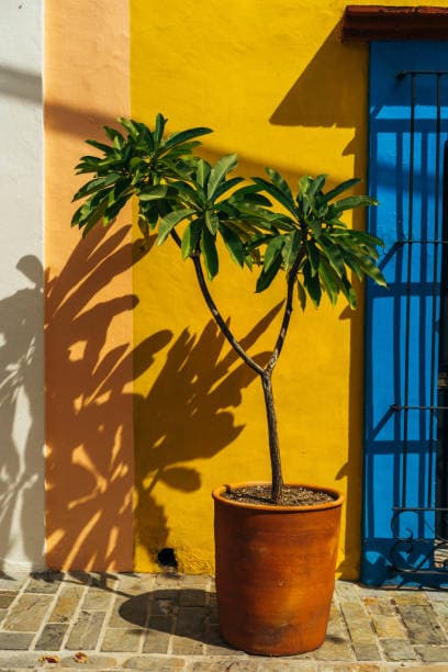 Candelaria, Campeche